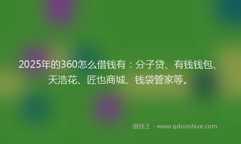 2025年的360怎么借钱有：分子贷、有钱钱包、天浩花、匠也商城、钱袋管家等。