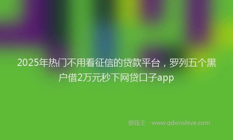 2025年热门不用看征信的贷款平台，罗列五个黑户借2万元秒下网贷口子app