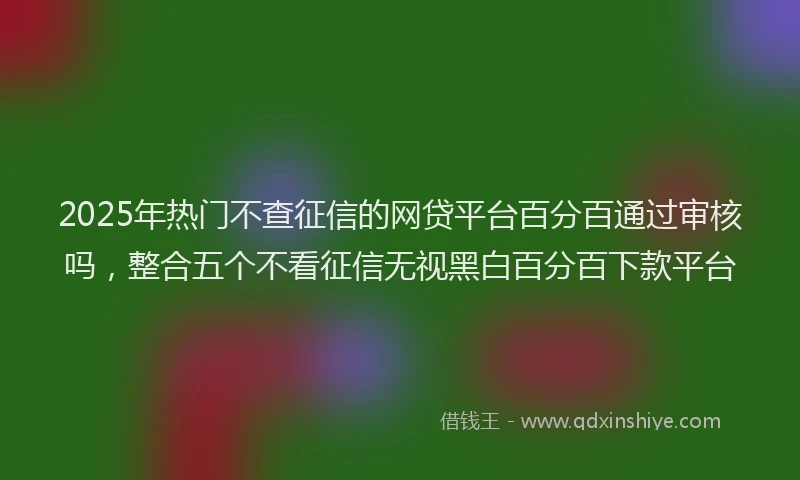 2025年热门不查征信的网贷平台百分百通过审核吗，整合五个不看征信无视黑白百分百下款平台