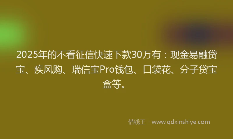 2025年的不看征信快速下款30万有：现金易融贷宝、疾风购、瑞信宝Pro钱包、口袋花、分子贷宝盒等。