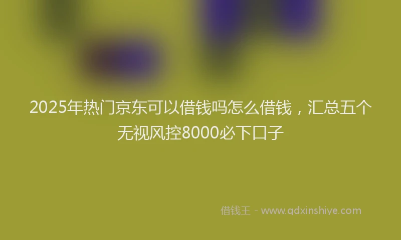 2025年热门京东可以借钱吗怎么借钱，汇总五个无视风控8000必下口子