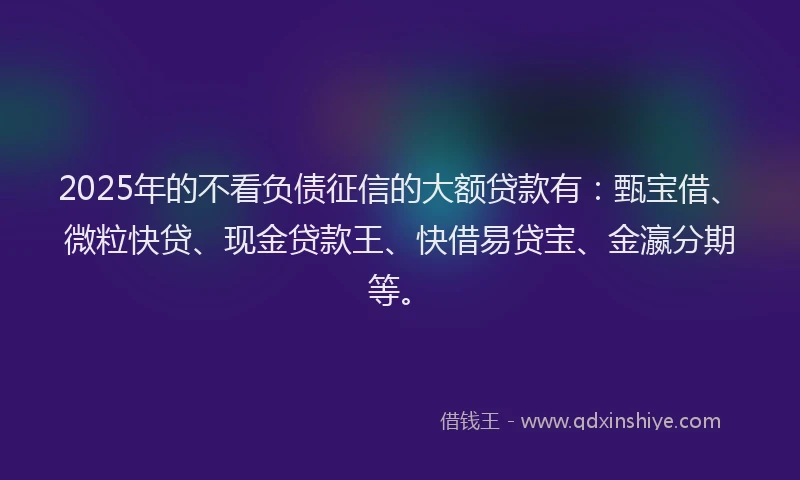 2025年的不看负债征信的大额贷款有：甄宝借、微粒快贷、现金贷款王、快借易贷宝、金瀛分期等。