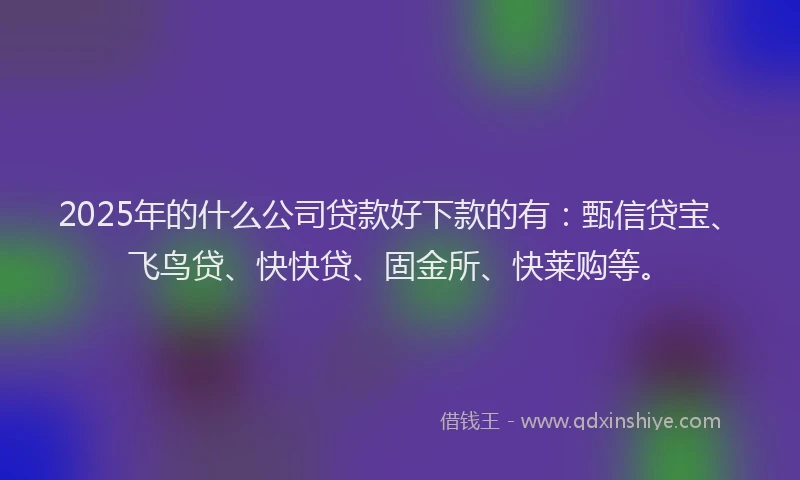 2025年的什么公司贷款好下款的有：甄信贷宝、飞鸟贷、快快贷、固金所、快莱购等。