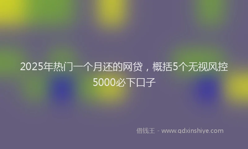 2025年热门一个月还的网贷，概括5个无视风控5000必下口子