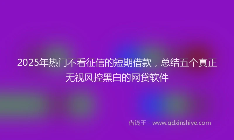 2025年热门不看征信的短期借款，总结五个真正无视风控黑白的网贷软件