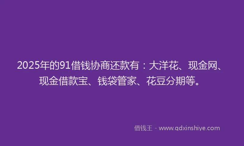 2025年的91借钱协商还款有：大洋花、现金网、现金借款宝、钱袋管家、花豆分期等。