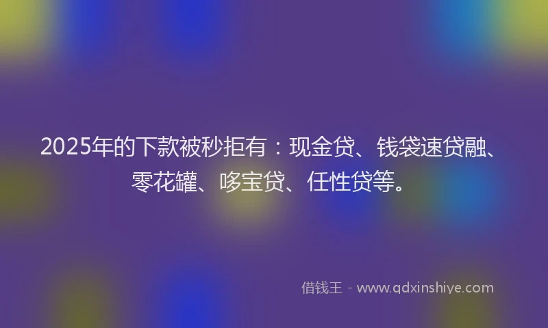 2025年的下款被秒拒有：现金贷、钱袋速贷融、零花罐、哆宝贷、任性贷等。
