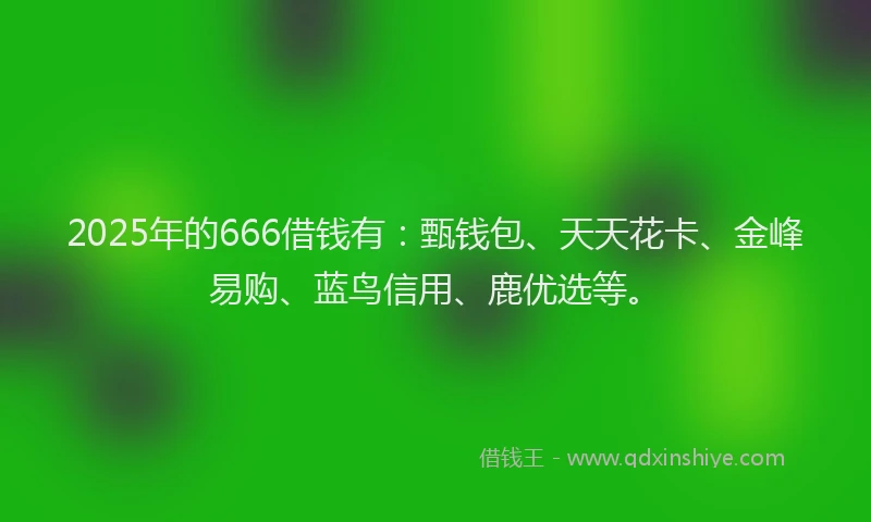 2025年的666借钱有：甄钱包、天天花卡、金峰易购、蓝鸟信用、鹿优选等。