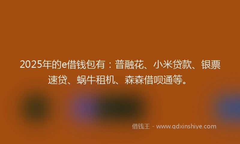 2025年的e借钱包有：普融花、小米贷款、银票速贷、蜗牛租机、森森借呗通等。