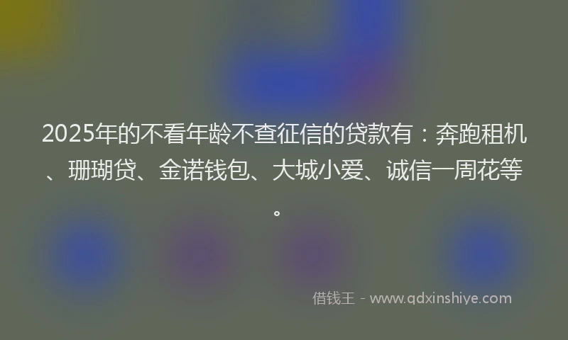2025年的不看年龄不查征信的贷款有：奔跑租机、珊瑚贷、金诺钱包、大城小爱、诚信一周花等。