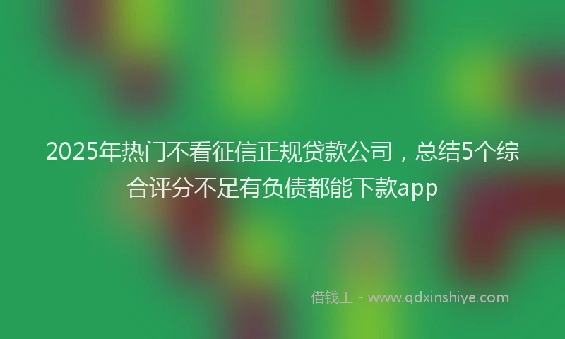 2025年热门不看征信正规贷款公司，总结5个综合评分不足有负债都能下款app