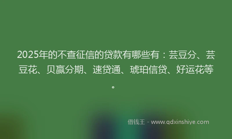 2025年的不查征信的贷款有哪些有：芸豆分、芸豆花、贝赢分期、速贷通、琥珀信贷、好运花等。