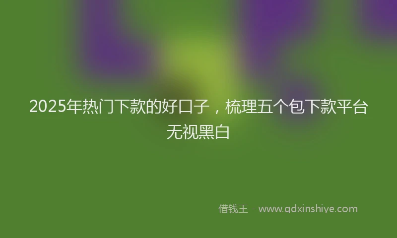 2025年热门下款的好口子，梳理五个包下款平台无视黑白