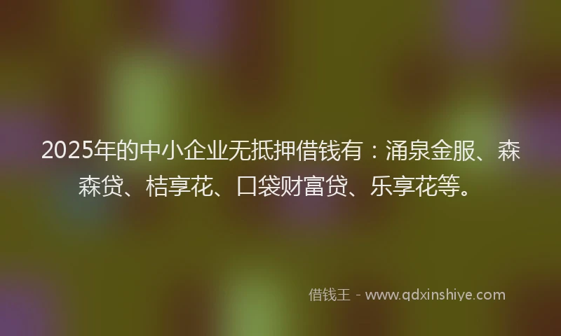 2025年的中小企业无抵押借钱有：涌泉金服、森森贷、桔享花、口袋财富贷、乐享花等。