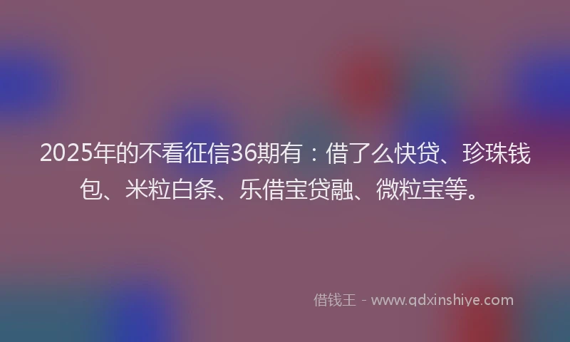 2025年的不看征信36期有：借了么快贷、珍珠钱包、米粒白条、乐借宝贷融、微粒宝等。