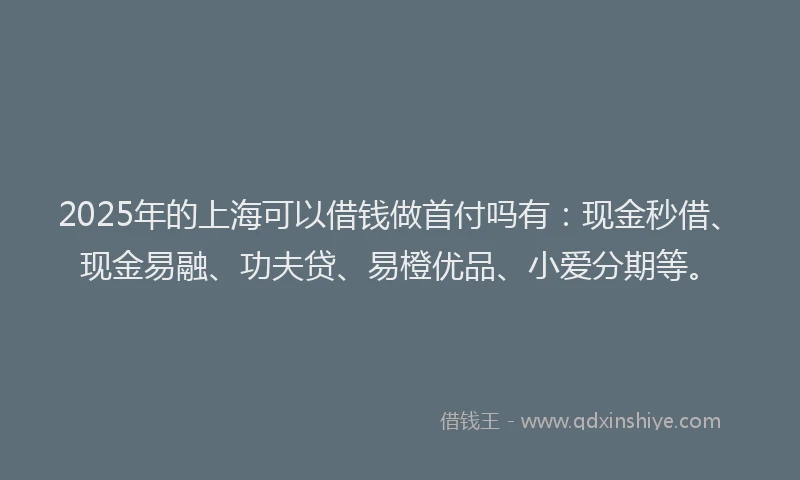 2025年的上海可以借钱做首付吗有：现金秒借、现金易融、功夫贷、易橙优品、小爱分期等。