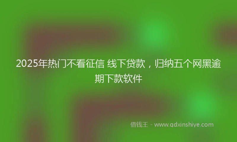 2025年热门不看征信 线下贷款，归纳五个网黑逾期下款软件