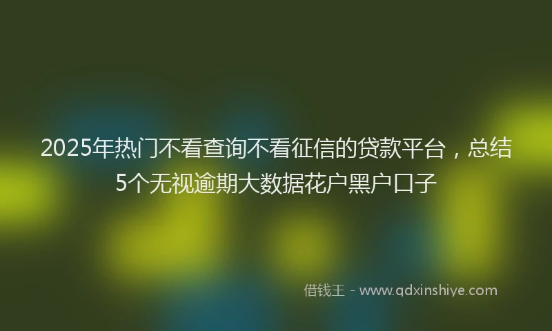 2025年热门不看查询不看征信的贷款平台，总结5个无视逾期大数据花户黑户口子