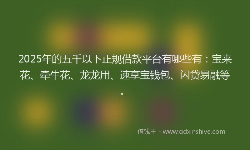 2025年的五千以下正规借款平台有哪些有:宝来花、牵牛花、龙龙用、速享宝钱包、闪贷易融等。