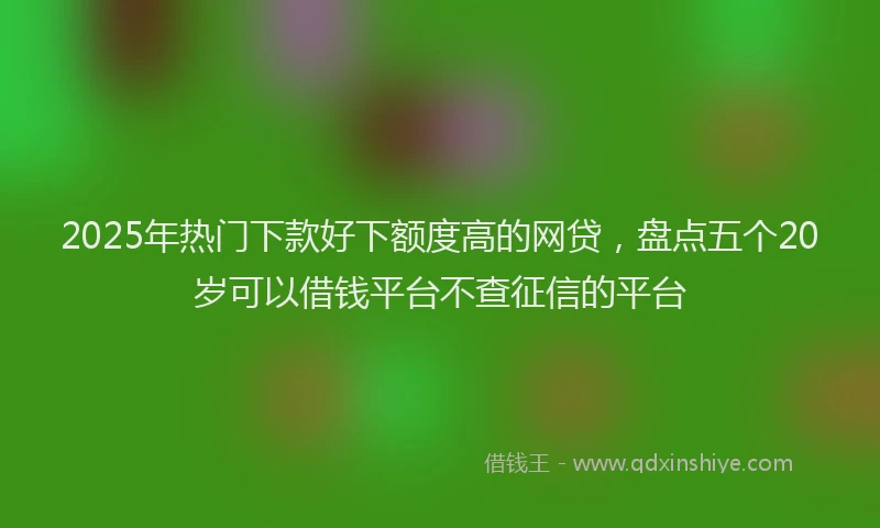 2025年热门下款好下额度高的网贷，盘点五个20岁可以借钱平台不查征信的平台