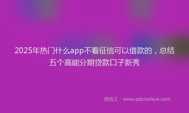 2025年热门什么app不看征信可以借款的，总结五个高能分期贷款口子新秀