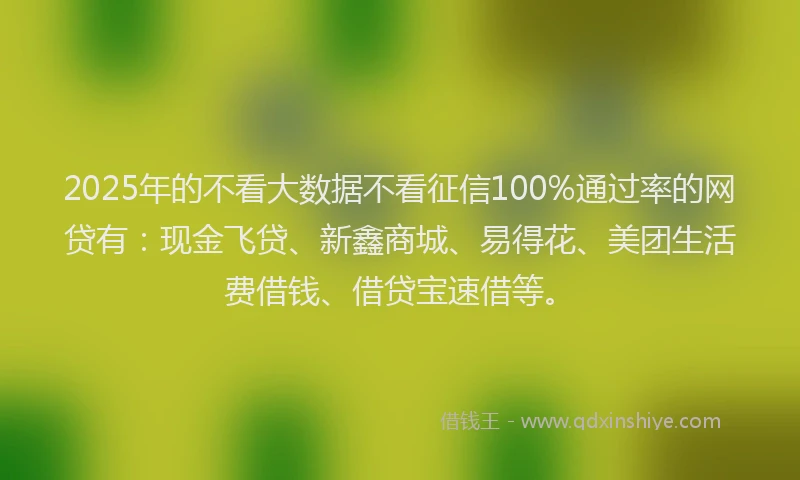 2025年的不看大数据不看征信100%通过率的网贷有：现金飞贷、新鑫商城、易得花、美团生活费借钱、借贷宝速借等。