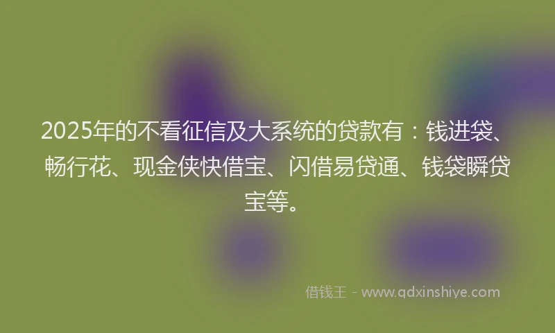 2025年的不看征信及大系统的贷款有：钱进袋、畅行花、现金侠快借宝、闪借易贷通、钱袋瞬贷宝等。