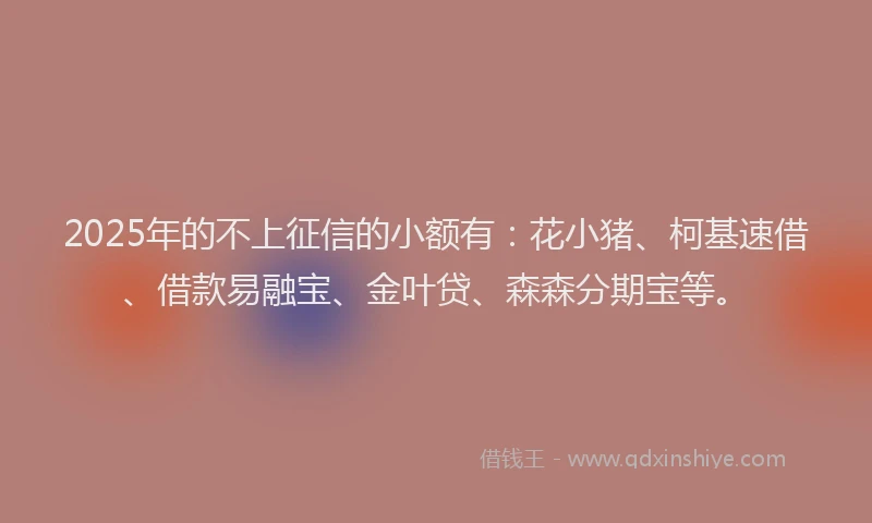 2025年的不上征信的小额有：花小猪、柯基速借、借款易融宝、金叶贷、森森分期宝等。