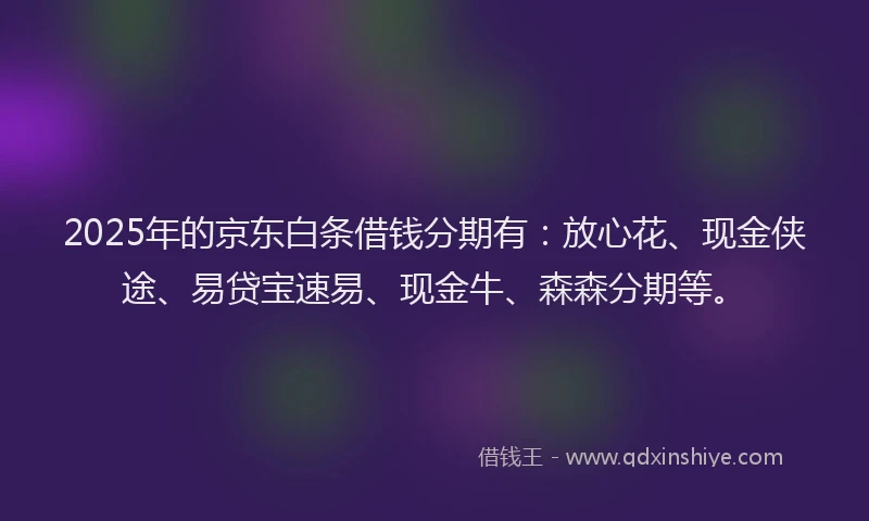 2025年的京东白条借钱分期有：放心花、现金侠途、易贷宝速易、现金牛、森森分期等。