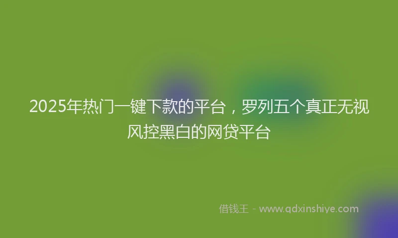 2025年热门一键下款的平台，罗列五个真正无视风控黑白的网贷平台