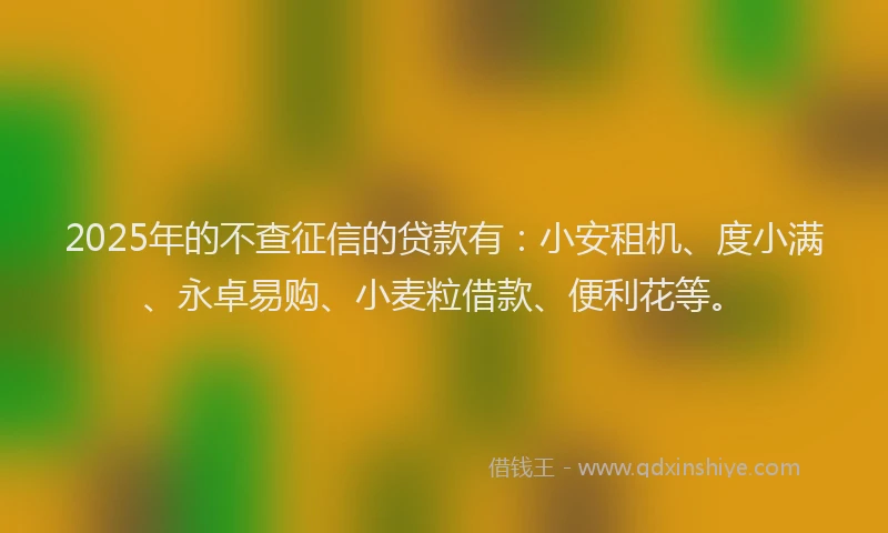 2025年的不查征信的贷款有：小安租机、度小满、永卓易购、小麦粒借款、便利花等。