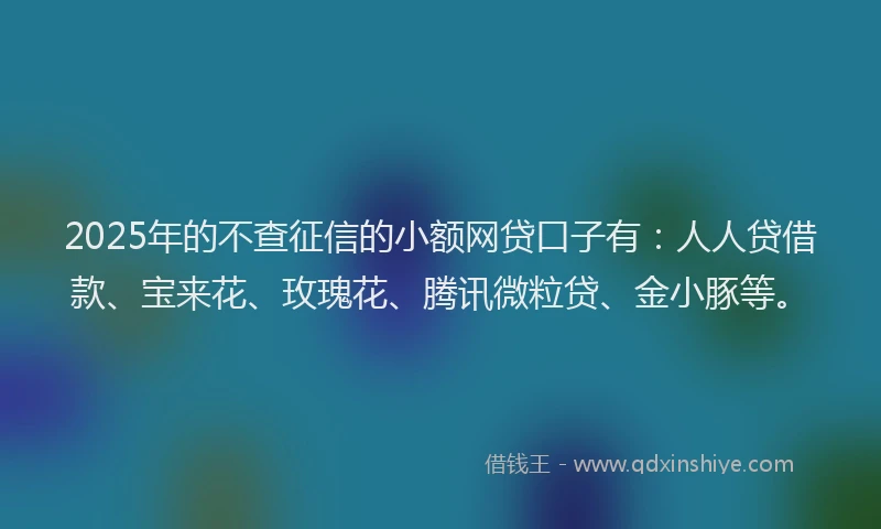 2025年的不查征信的小额网贷口子有：人人贷借款、宝来花、玫瑰花、腾讯微粒贷、金小豚等。