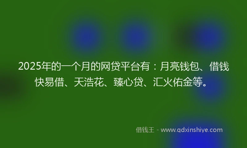 2025年的一个月的网贷平台有：月亮钱包、借钱快易借、天浩花、臻心贷、汇火佑金等。