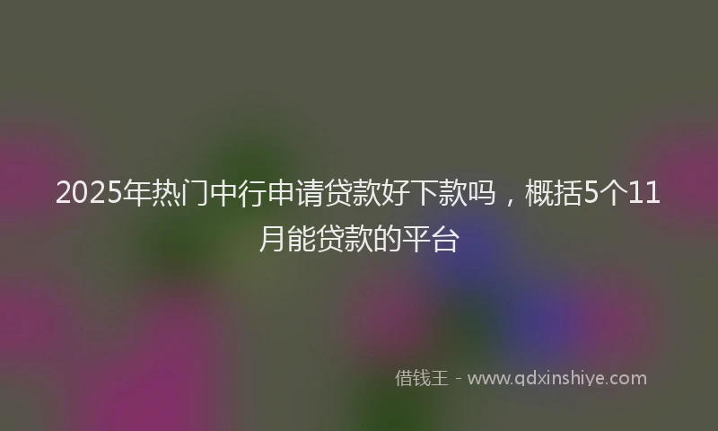 2025年热门中行申请贷款好下款吗，概括5个11月能贷款的平台