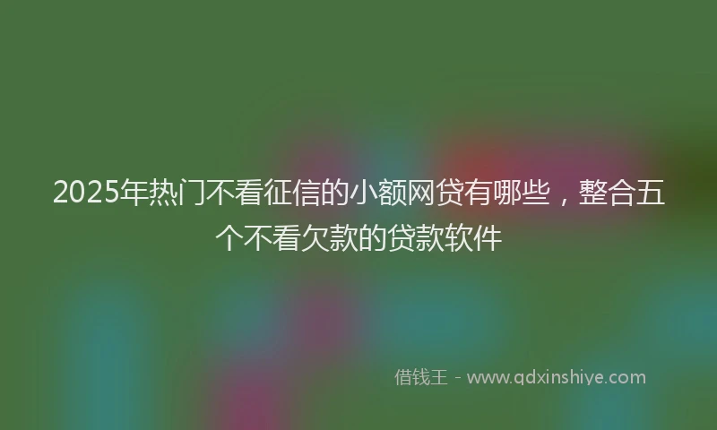 2025年热门不看征信的小额网贷有哪些，整合五个不看欠款的贷款软件