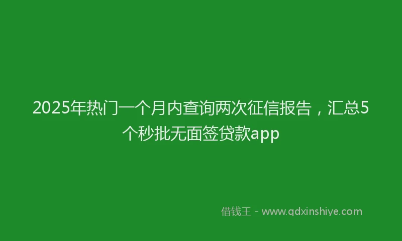 2025年热门一个月内查询两次征信报告，汇总5个秒批无面签贷款app