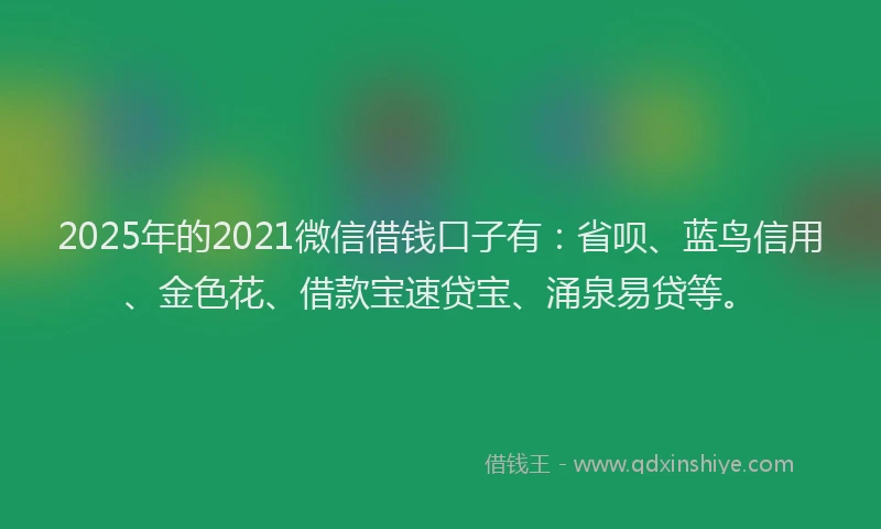 2025年的2021微信借钱口子有：省呗、蓝鸟信用、金色花、借款宝速贷宝、涌泉易贷等。