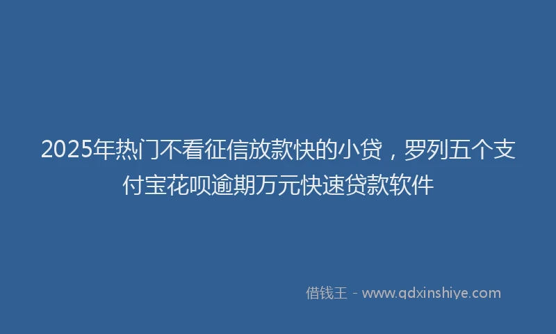 2025年热门不看征信放款快的小贷，罗列五个支付宝花呗逾期万元快速贷款软件