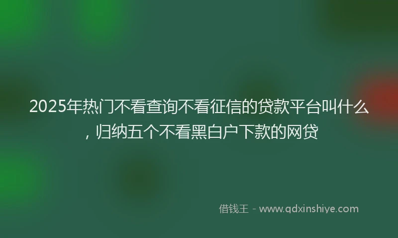 2025年热门不看查询不看征信的贷款平台叫什么，归纳五个不看黑白户下款的网贷