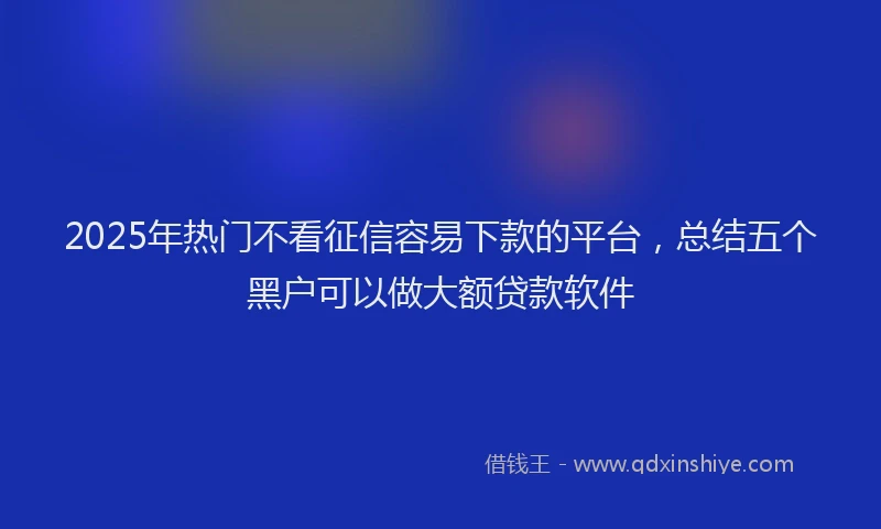 2025年热门不看征信容易下款的平台，总结五个黑户可以做大额贷款软件