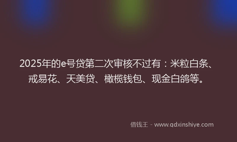 2025年的e号贷第二次审核不过有：米粒白条、戒易花、天美贷、橄榄钱包、现金白鸽等。