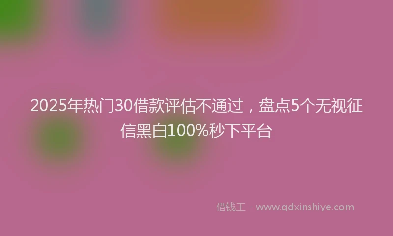 2025年热门30借款评估不通过，盘点5个无视征信黑白100%秒下平台