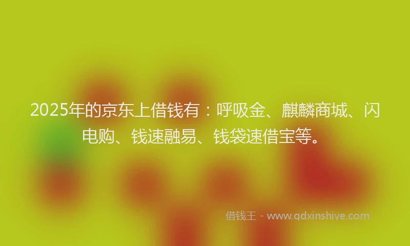 2025年的京东上借钱有：呼吸金、麒麟商城、闪电购、钱速融易、钱袋速借宝等。