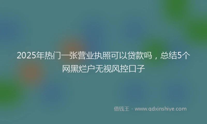 2025年热门一张营业执照可以贷款吗，总结5个网黑烂户无视风控口子
