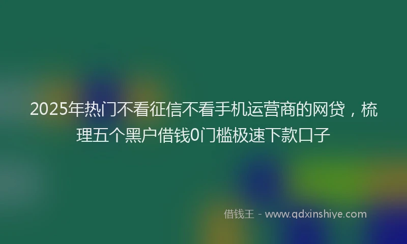 2025年热门不看征信不看手机运营商的网贷，梳理五个黑户借钱0门槛极速下款口子