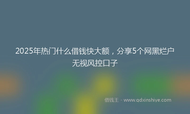 2025年热门什么借钱快大额，分享5个网黑烂户无视风控口子
