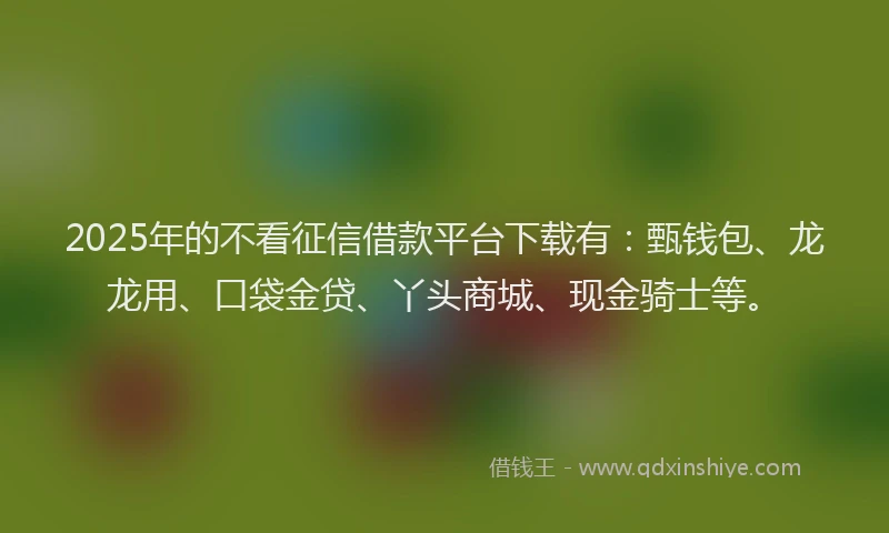 2025年的不看征信借款平台下载有：甄钱包、龙龙用、口袋金贷、丫头商城、现金骑士等。