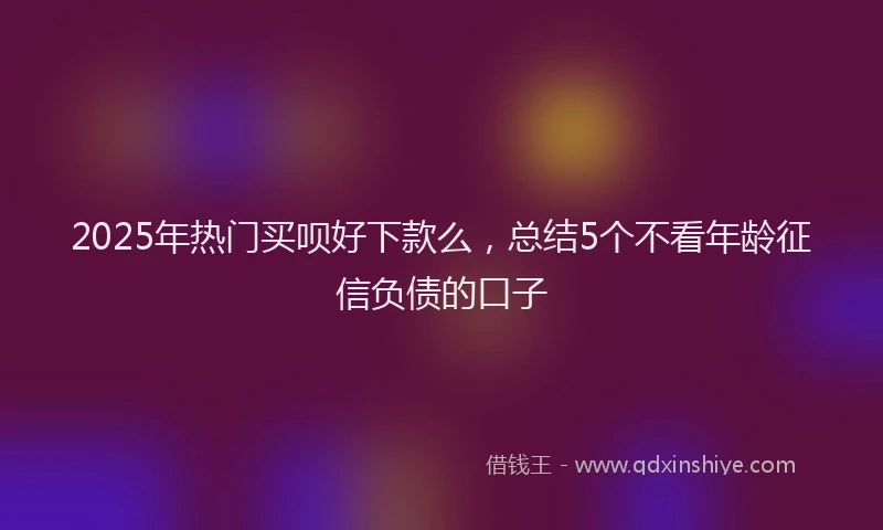 2025年热门买呗好下款么，总结5个不看年龄征信负债的口子