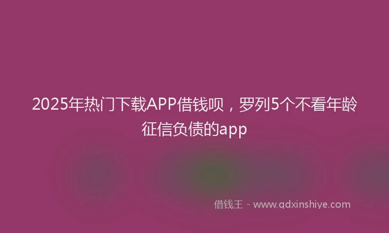 2025年热门下载APP借钱呗，罗列5个不看年龄征信负债的app