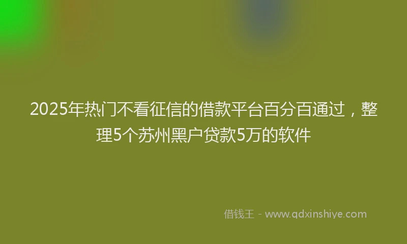2025年热门不看征信的借款平台百分百通过，整理5个苏州黑户贷款5万的软件